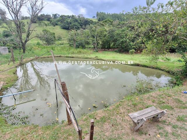 #183 - Sítio para Venda em Morungaba - SP - 1