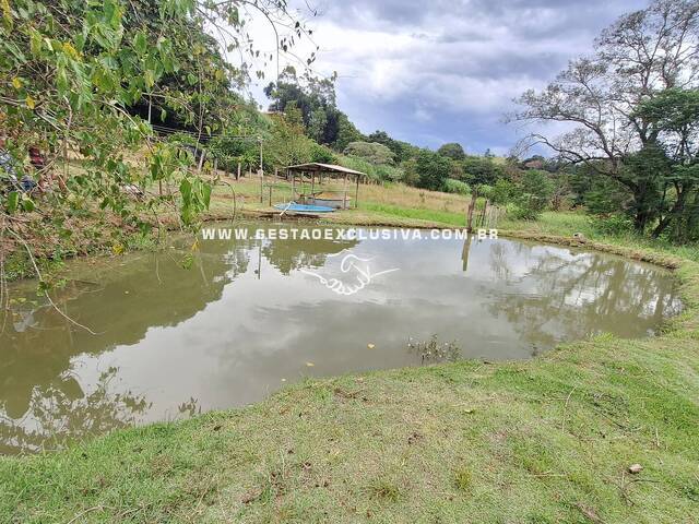 #183 - Sítio para Venda em Morungaba - SP - 2