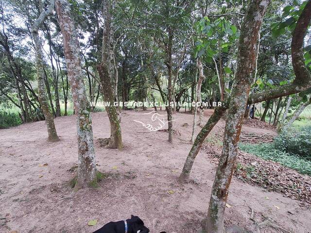 Sítio para Venda em Morungaba - 4