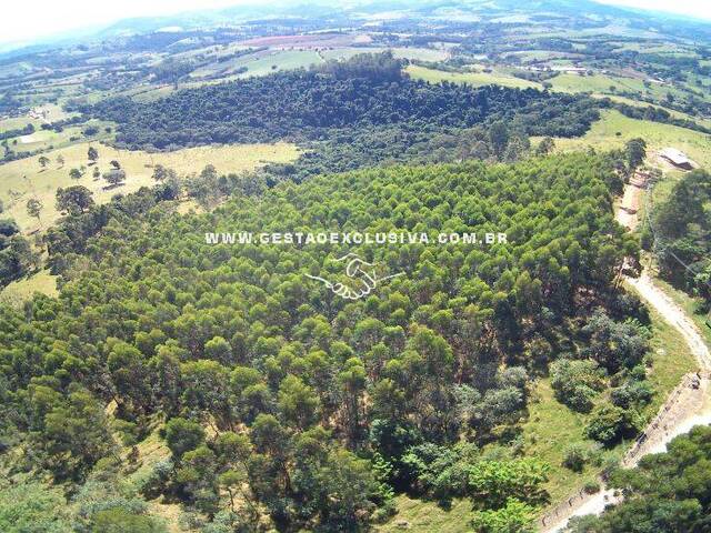 Fazenda para Venda em Morungaba - 4
