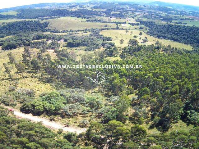 Fazenda para Venda em Morungaba - 3